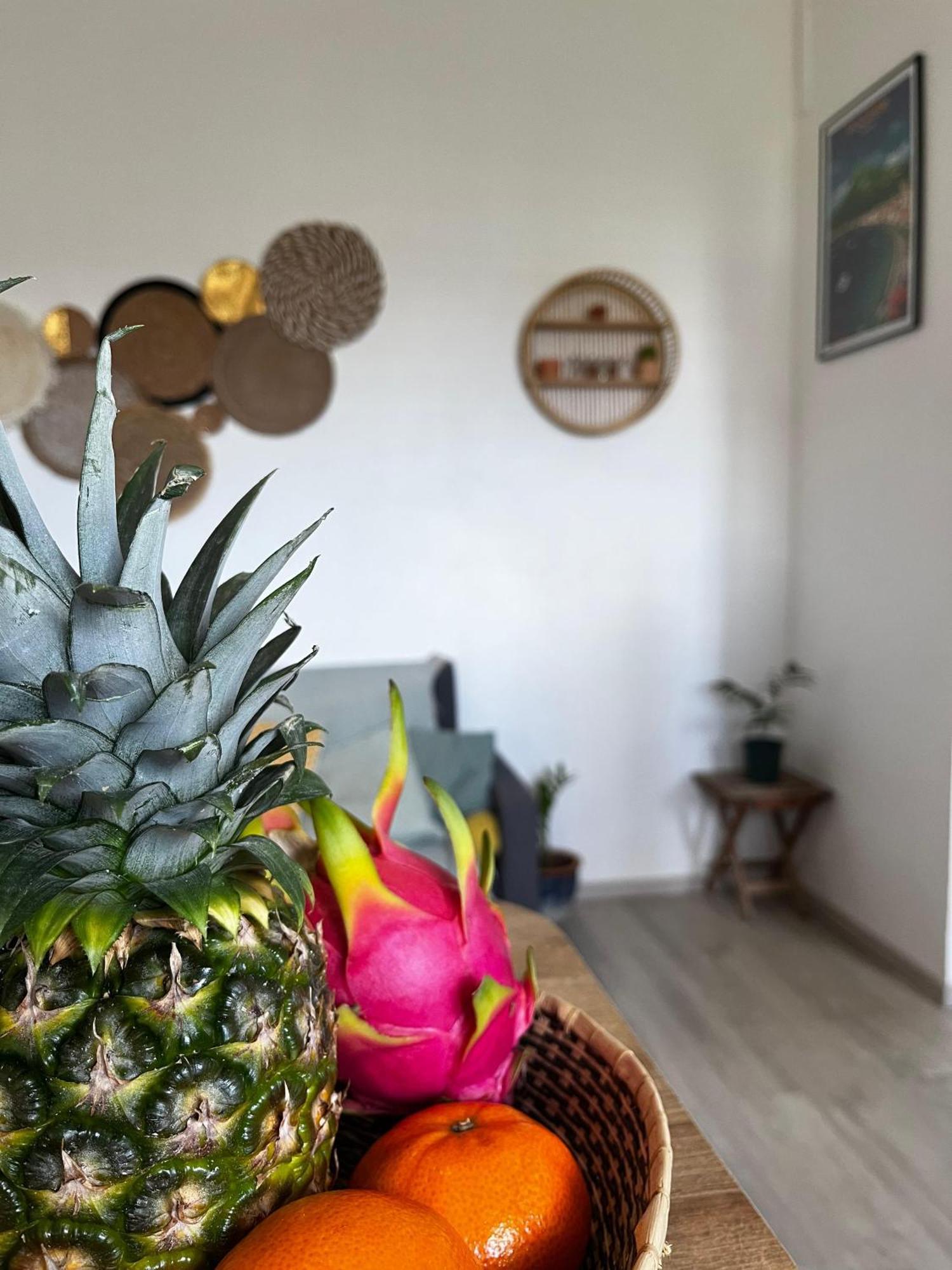 Cocon Des Alizes Appartement La Moise Buitenkant foto
